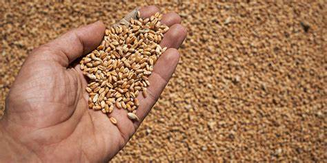 Soutien d'agricole en Ukraine