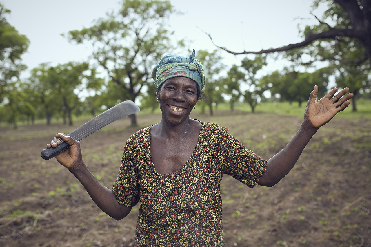 farmer-2839078_1280