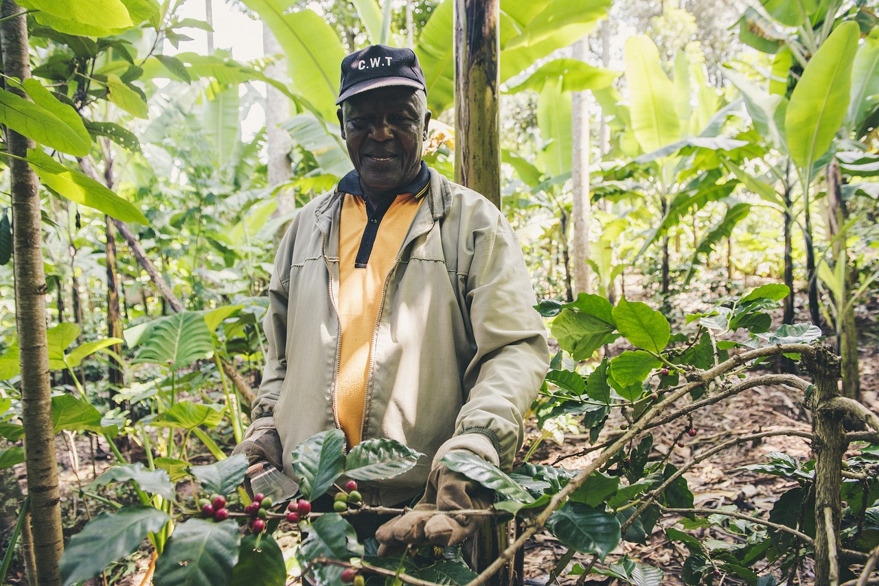farmer-4493421_1280
